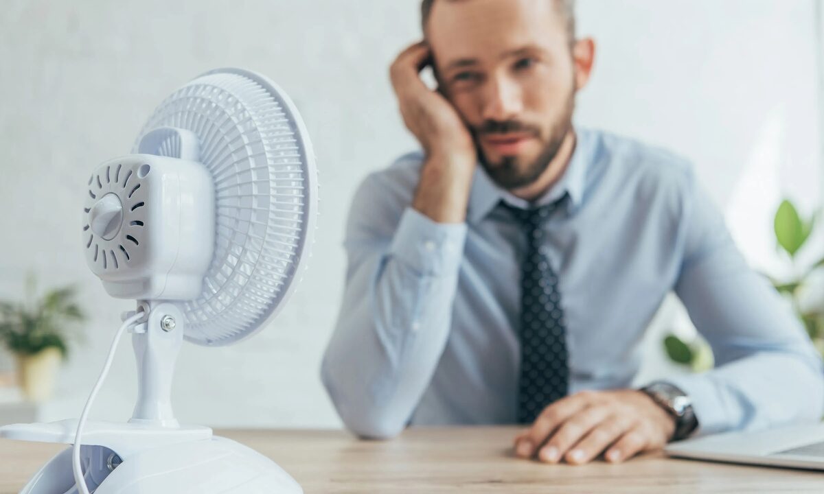 Estos son los ventiladores recomendados por Profeco