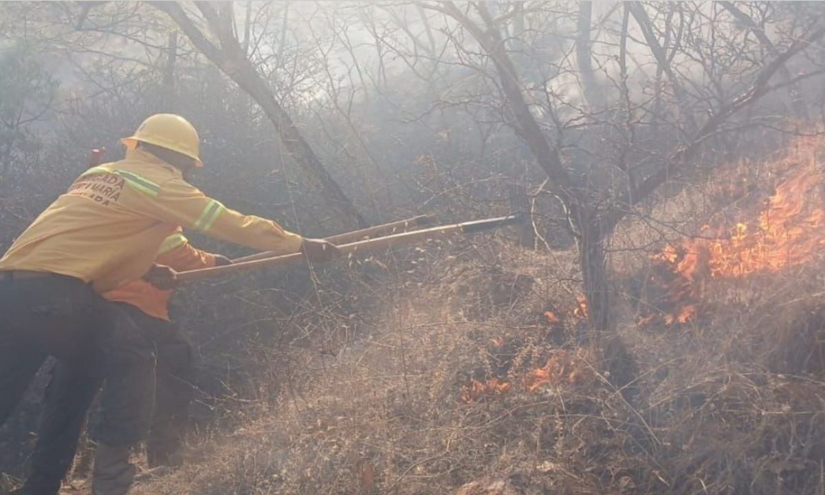 El Gobierno de Oaxaca confirmó la muerte de dos brigadistas que combatían un incendio forestar en El Manzanito en Santa María Peñoles.