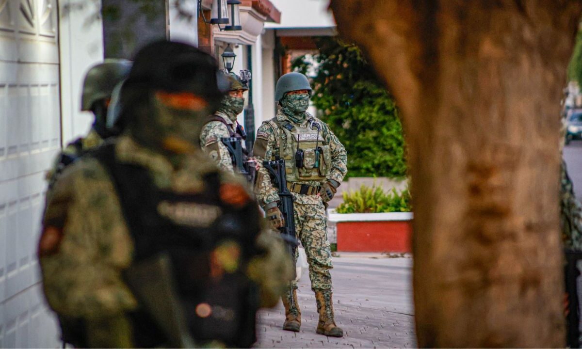 En el primer periodo de Rosario Piedra al frente de la CNDH, las violaciones más recurrentes de la Defensa a la ciudadanía fueron las referentes a la seguridad jurídica y la legalidad.