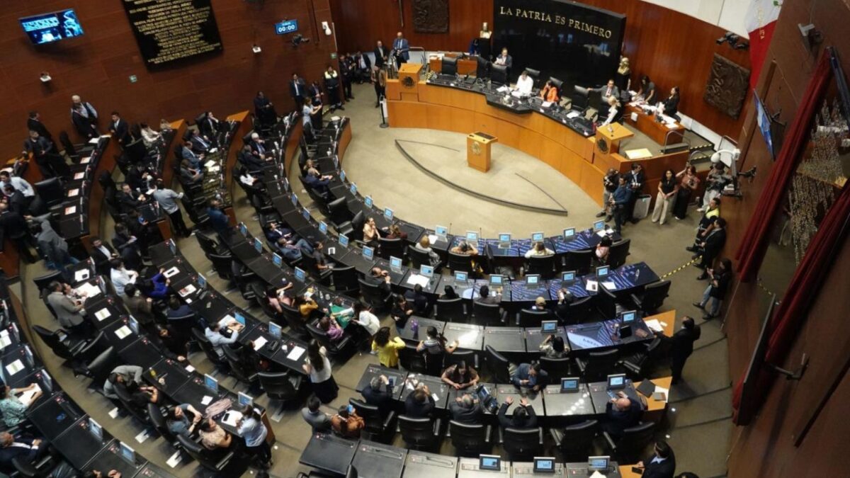 El Senado impugnaría alrededor de 20 candidaturas que no cumplen con el requisito de idoneidad para llegar al Poder Judicial