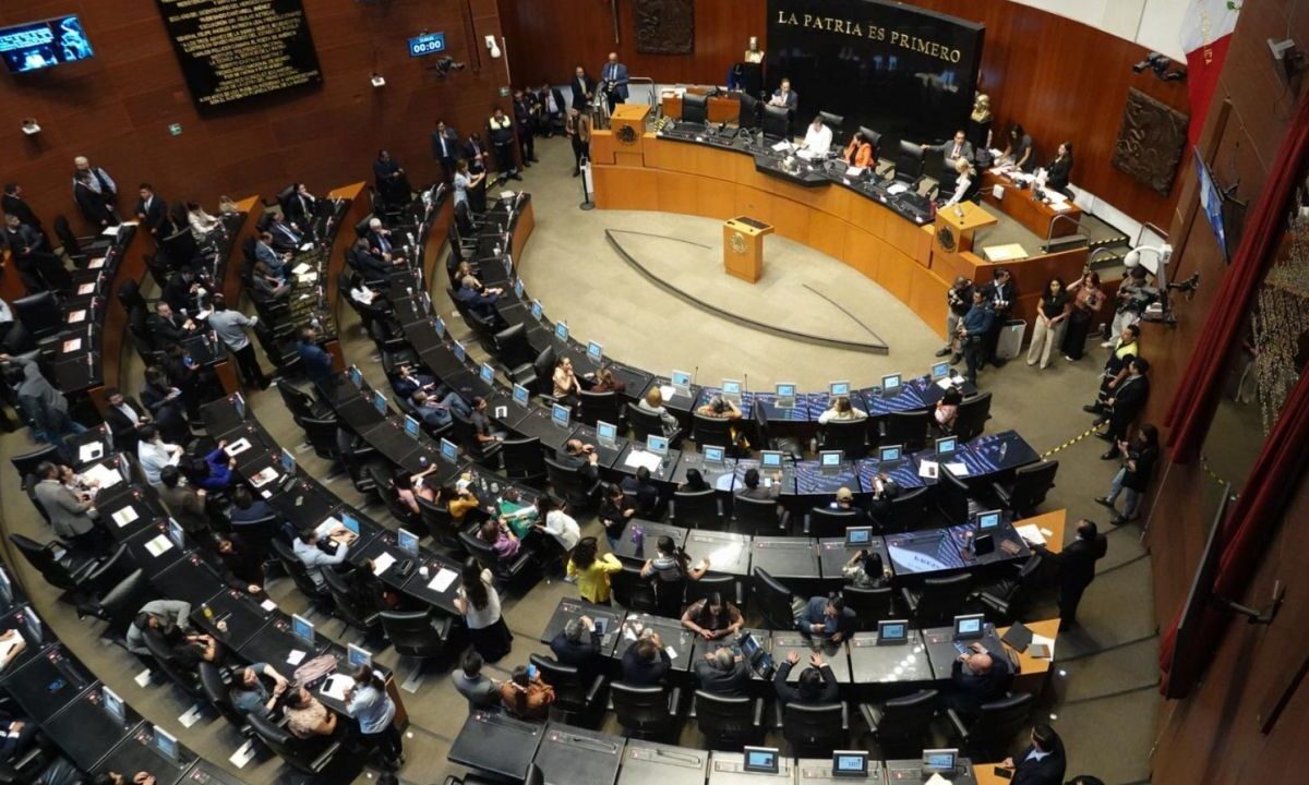 El Senado impugnaría alrededor de 20 candidaturas que no cumplen con el requisito de idoneidad para llegar al Poder Judicial