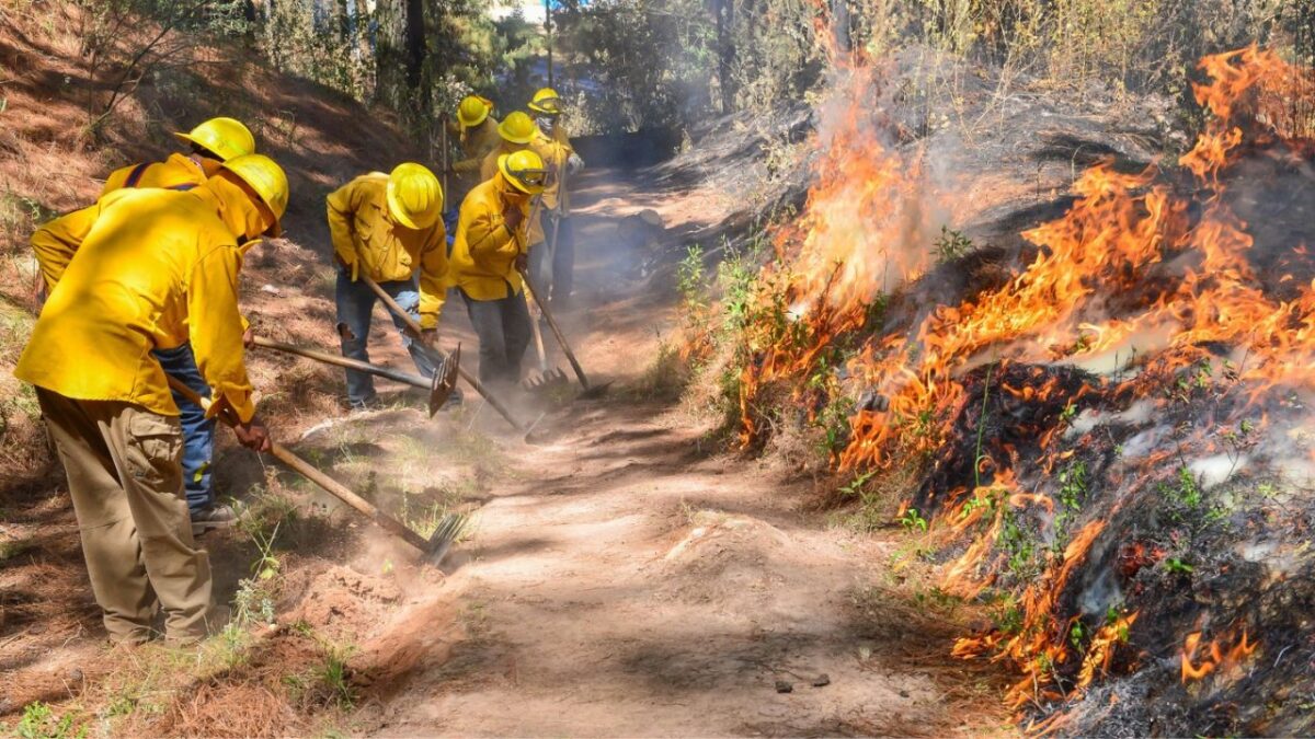 El Gobierno del Estado de México interpondrá penas de dos a 10 años de prisión a quien provoque incendios en zonas boscosas.