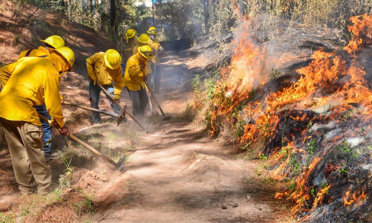 El Gobierno del Estado de México interpondrá penas de dos a 10 años de prisión a quien provoque incendios en zonas boscosas.