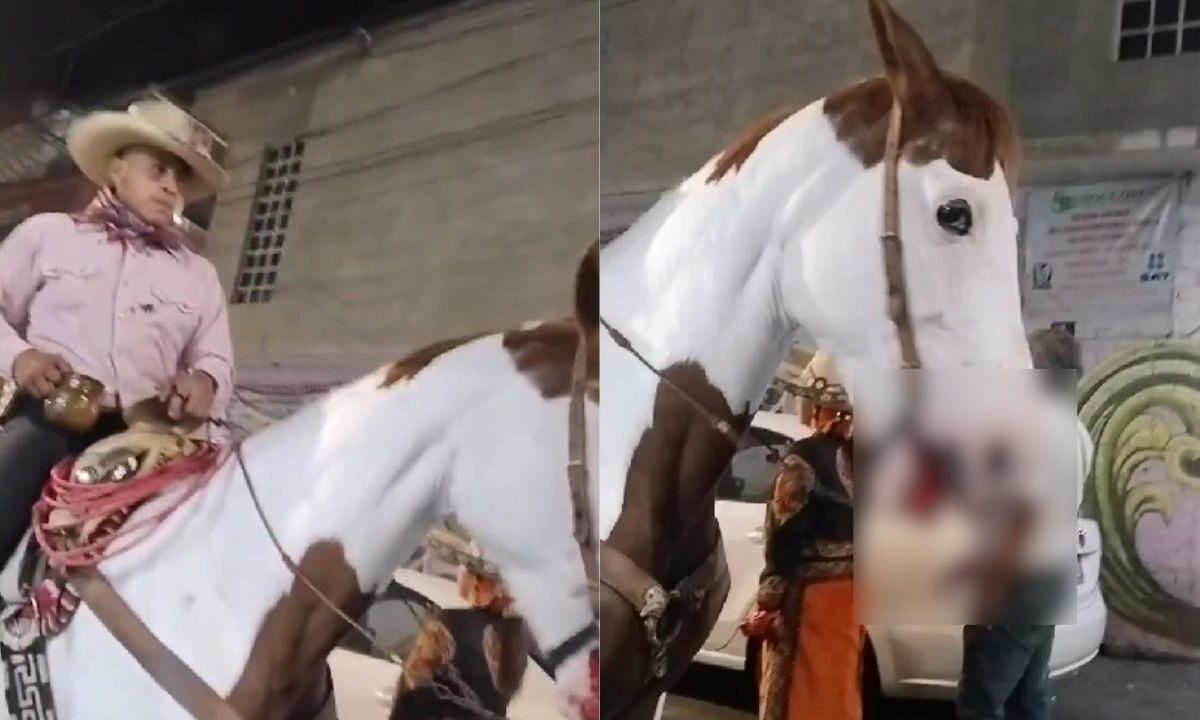Denuncian presunto maltrato animal contra un caballo durante el carnaval de Iztapalapa.