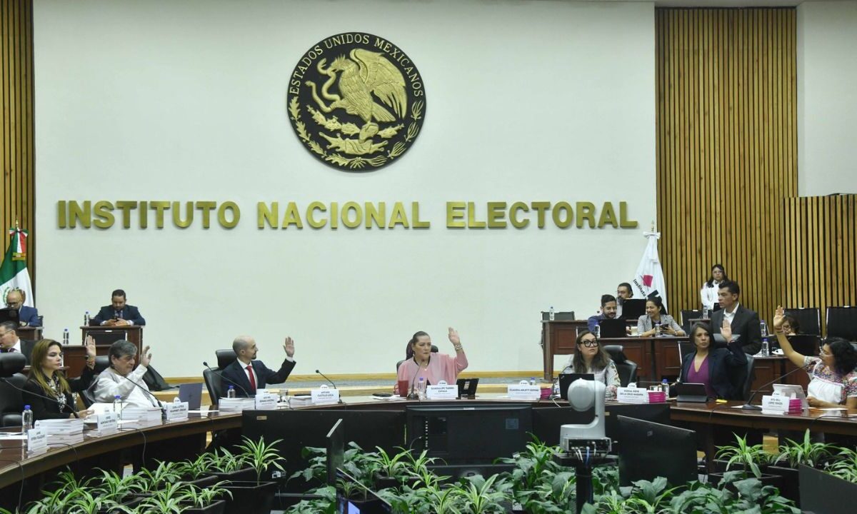 INE notificará los resultados de las elecciones.