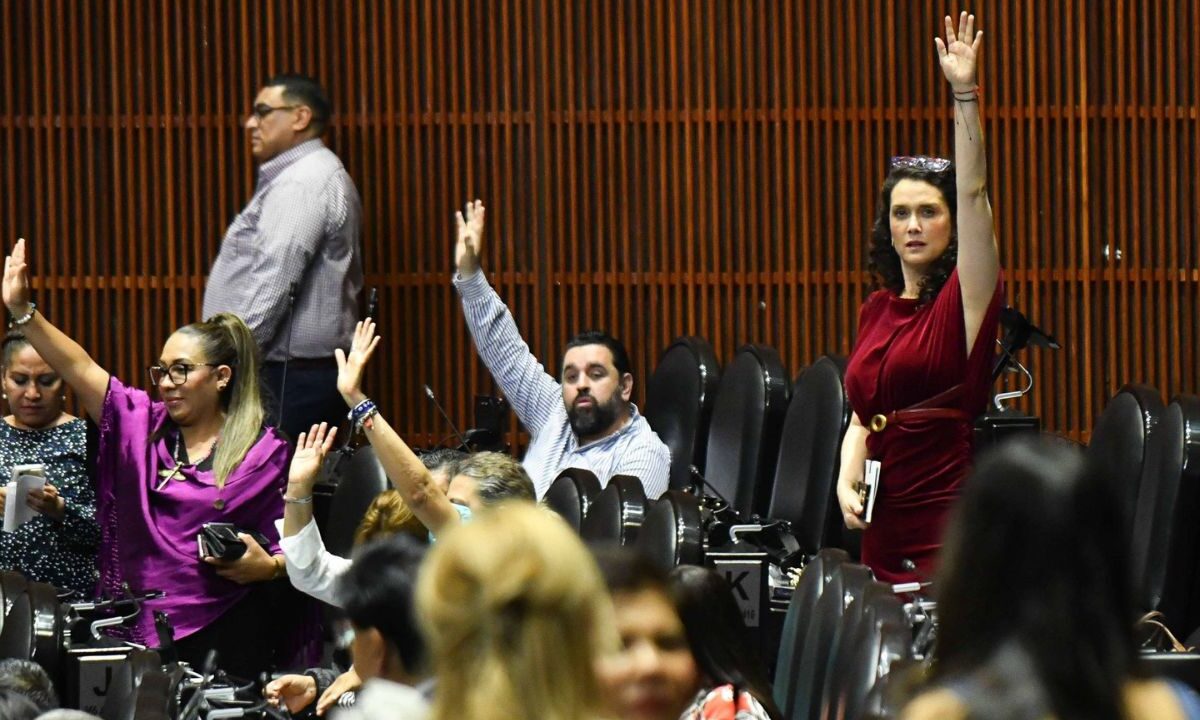 La Cámara de Diputados aprobó la iniciativa presidencial que destaca la creación de la Agencia de Trenes y Transporte Público Integrado.