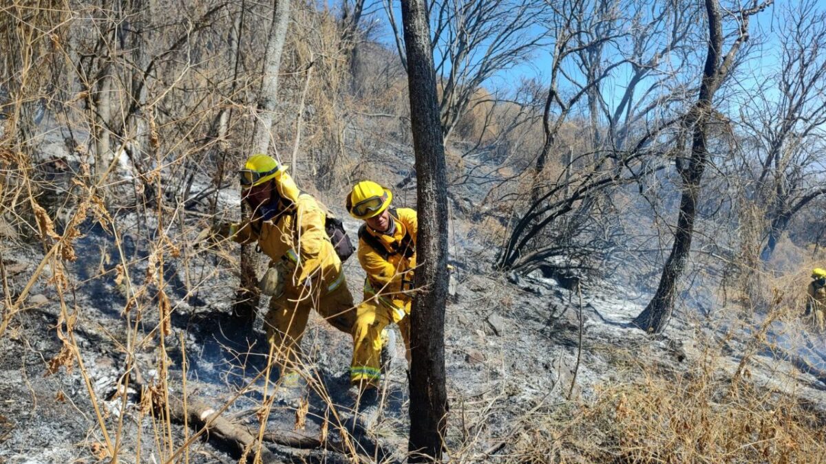 Decenas de brigadistas trabajaron casi dos semanas para extinguir el fuego en Amoles.