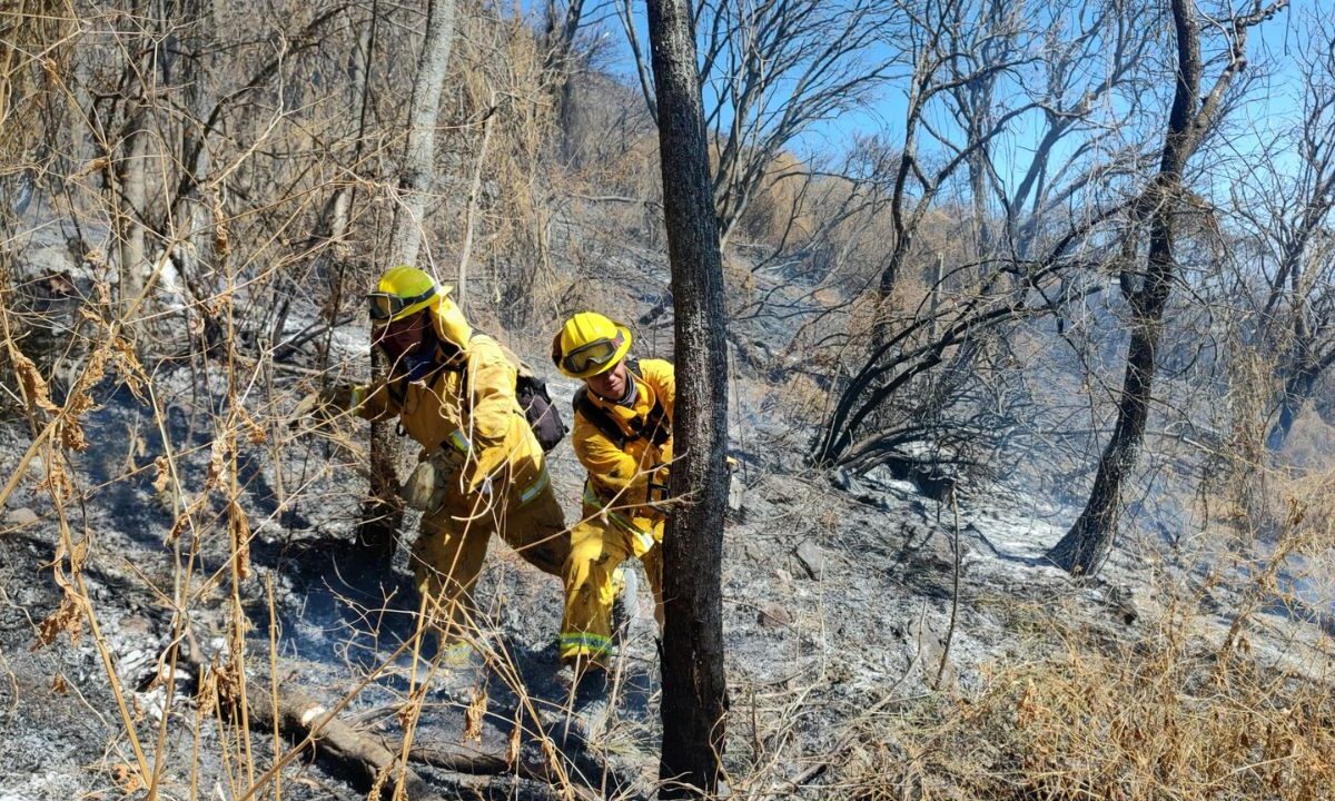 Decenas de brigadistas trabajaron casi dos semanas para extinguir el fuego en Amoles.