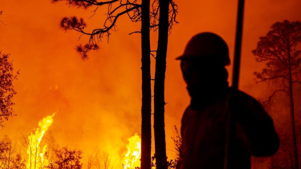 Creación de 90 kilómetros de brechas cortafuegos para prevenir incendios.