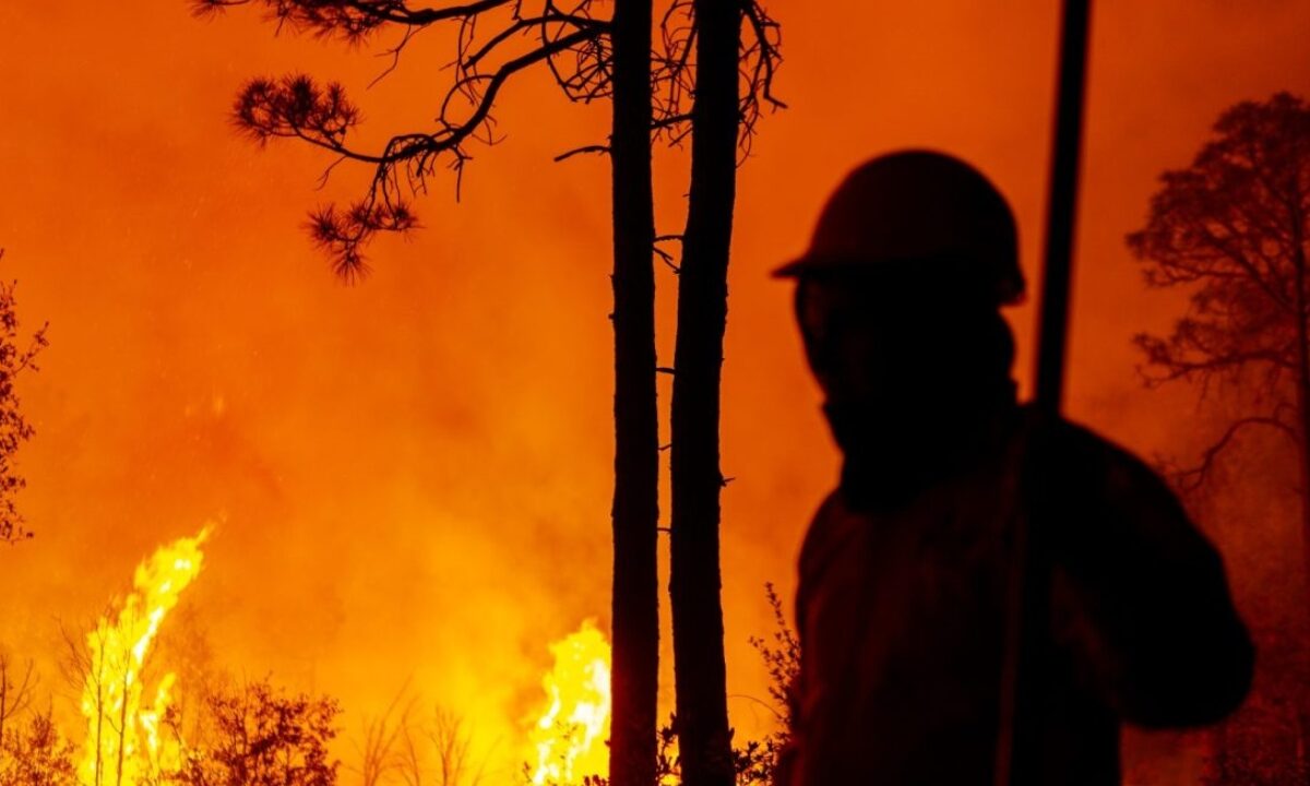 Creación de 90 kilómetros de brechas cortafuegos para prevenir incendios.