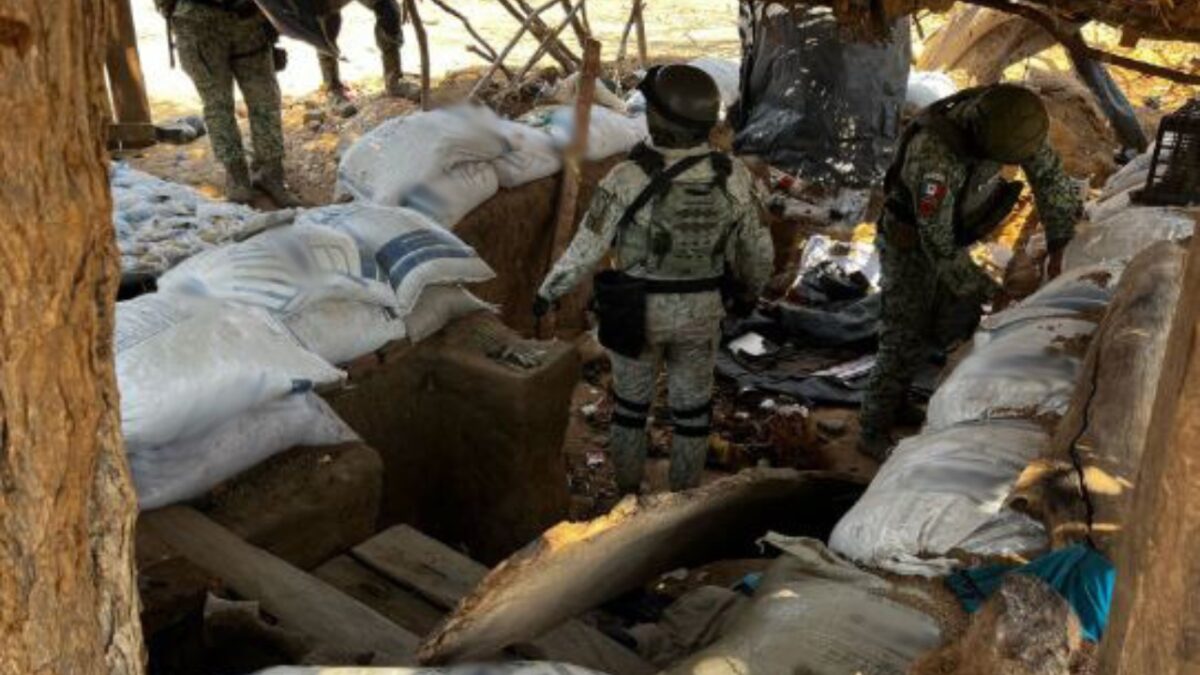 31 narco campamentos fueron destruidos en Sinaloa