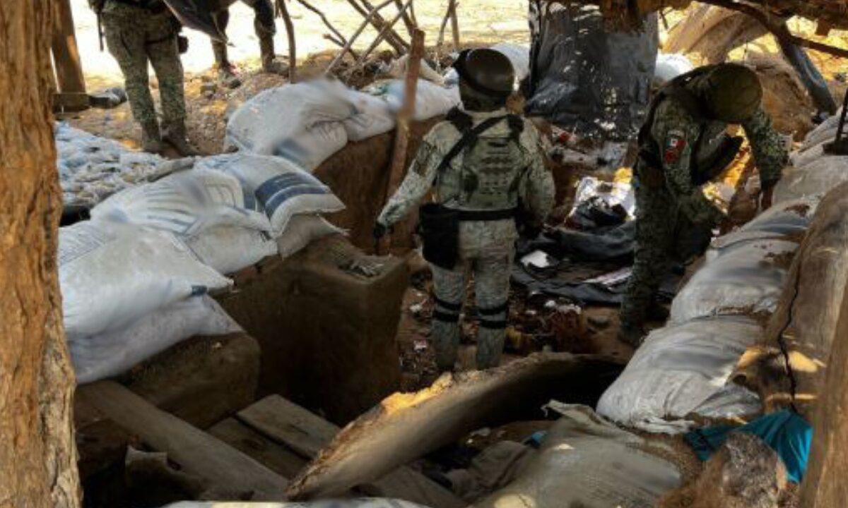 31 narco campamentos fueron destruidos en Sinaloa