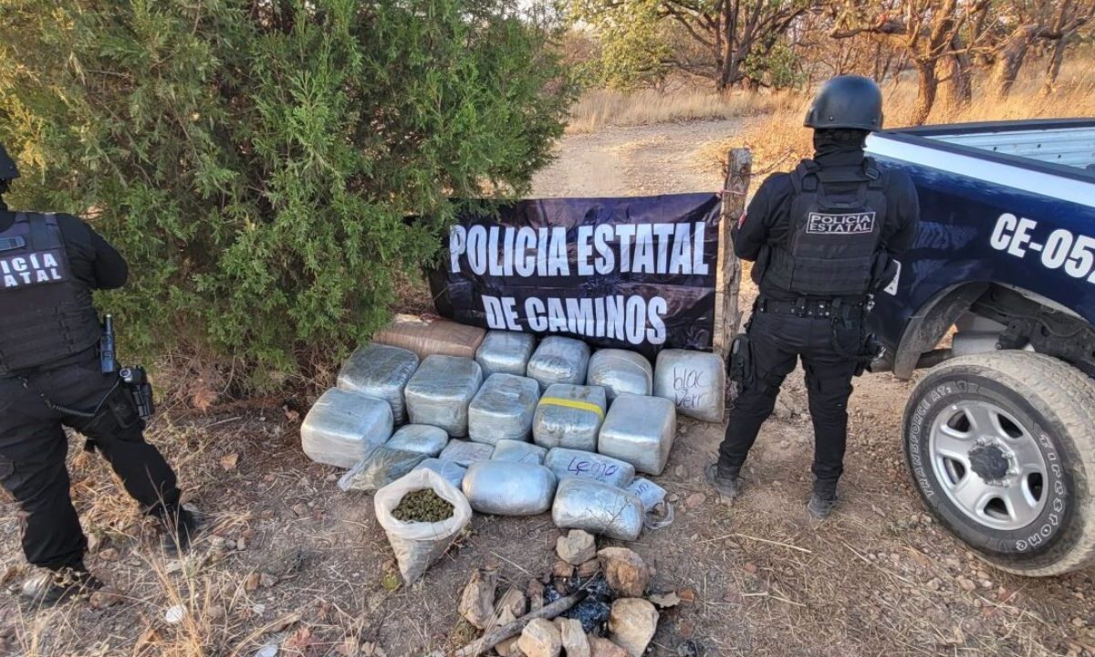 Abandonada en una brecha paralela a la autopista dentro del municipio de Tequila se localizó y aseguró un total de 80 kilos de mariguana.