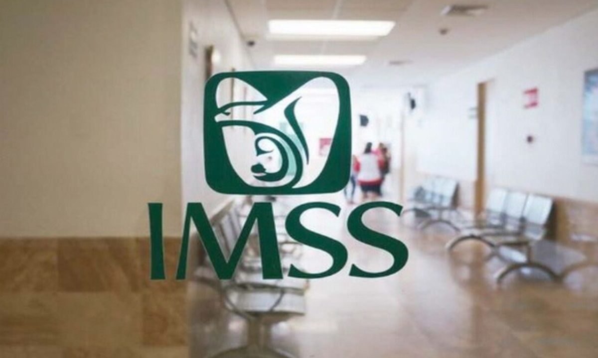 ¿Cómo saber si debo tramitar el Certificado de supervivencia del IMSS?