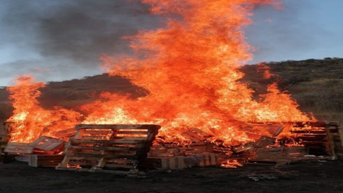 11.7 tonelada de drogas fueron incineradas en cuatro estados