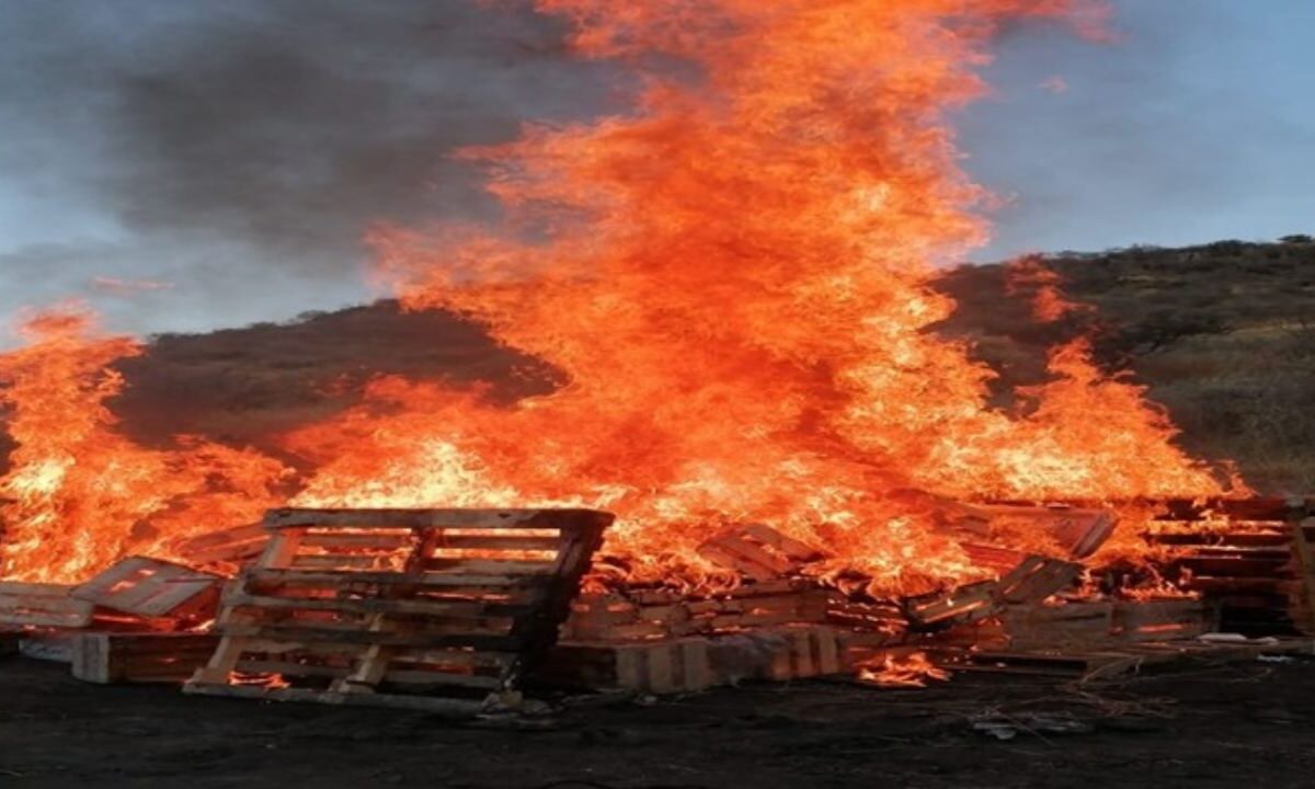11.7 tonelada de drogas fueron incineradas en cuatro estados