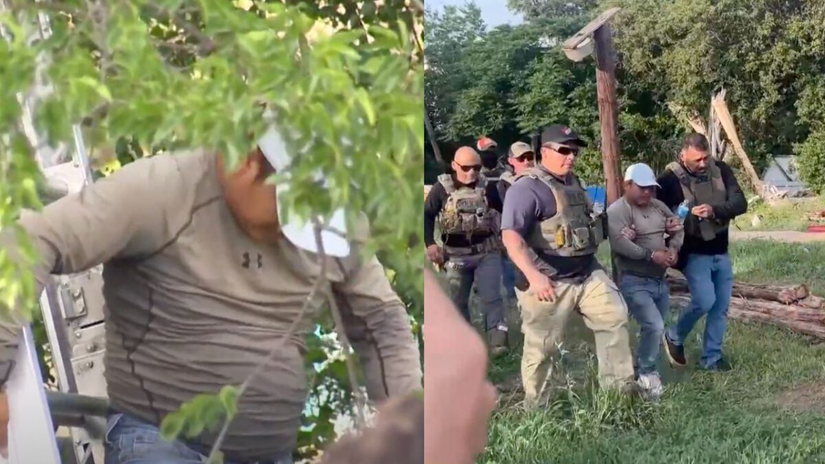 Un migrante guatemalteco permaneció 8 horas en un árbol para evitar ser deportado por agentes migratorios del ICE en San Antonio, Texas, EU.