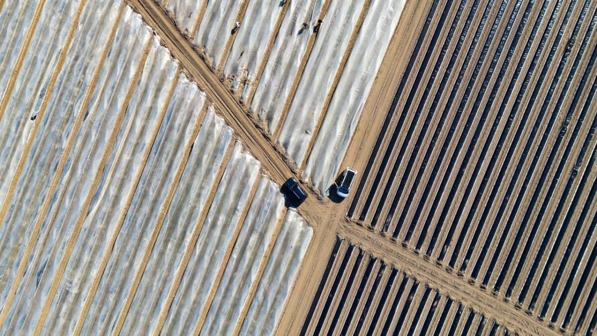 Agricultores estadounidenses temen que sus exportaciones caigan tras la imposición de nuevos aranceles por parte del presidente Donald Trump