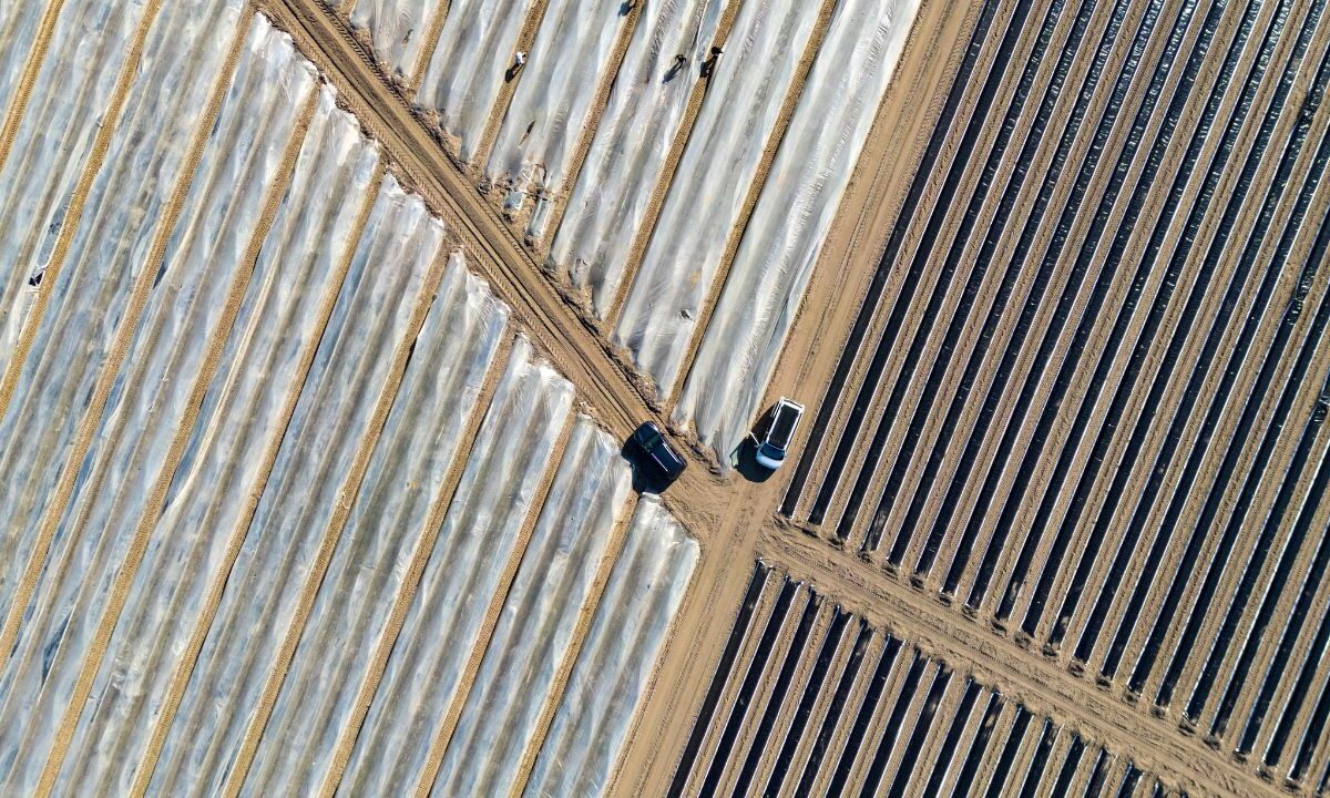 Agricultores estadounidenses temen que sus exportaciones caigan tras la imposición de nuevos aranceles por parte del presidente Donald Trump