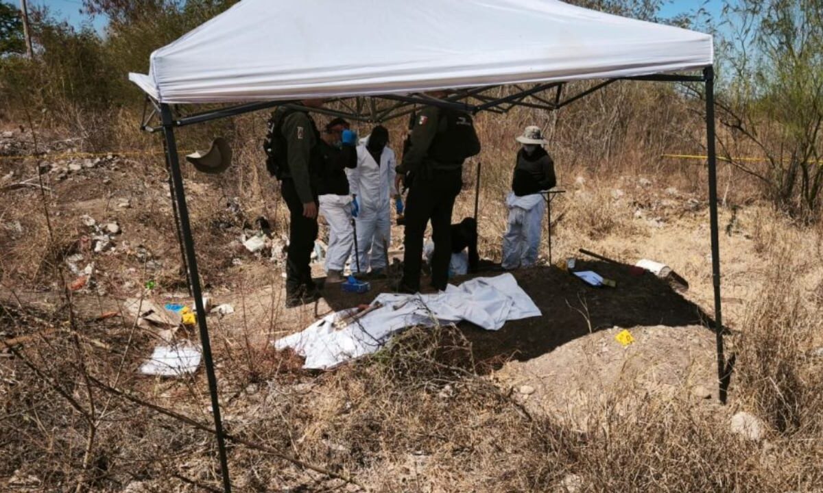 Al menos once cuerpos en estado de descomposición fueron localizados en el ejido Mezquitillo, Culiacán.