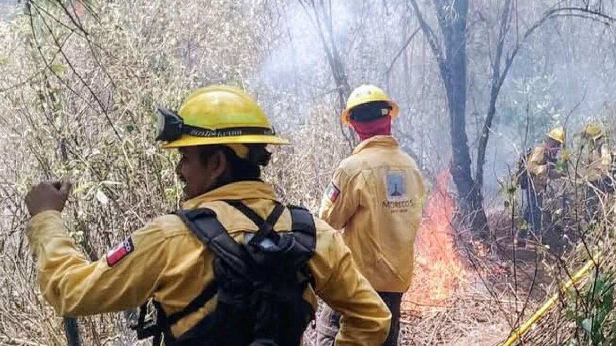 Brigadistas atienden incendios forestales en México