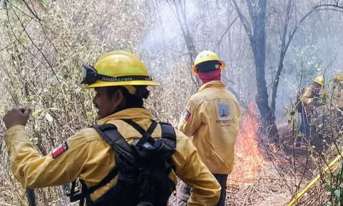 Brigadistas atienden incendios forestales en México