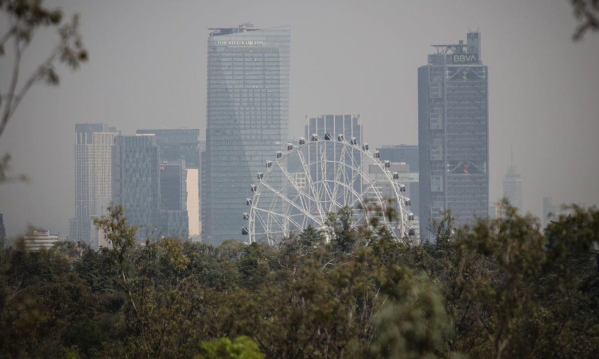 Congreso CDMX acatará resolución que obliga a abordar el cambio del uso de suelo del Bosque de Chapultepec a favor de la inmobiliaria Trepi.