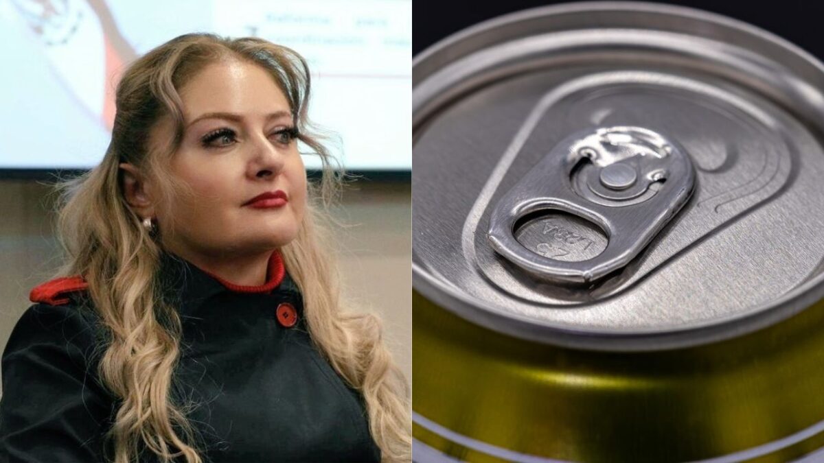 La senadora priista Claudia Anaya minimizó el posible impacto de los aranceles a las latas de cerveza y refresco que entren a EU.