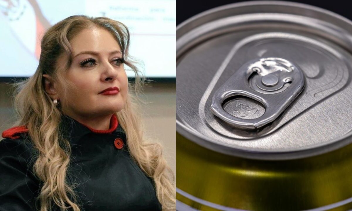 La senadora priista Claudia Anaya minimizó el posible impacto de los aranceles a las latas de cerveza y refresco que entren a EU.
