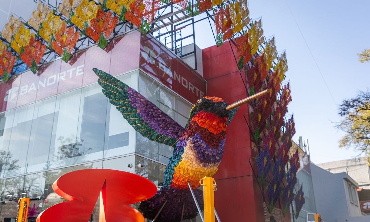 El Festival Flores y Jardines 2025 conjunta a diversas instituciones que pretenden visibilizar el futuro de la naturaleza y nuestra comunidad