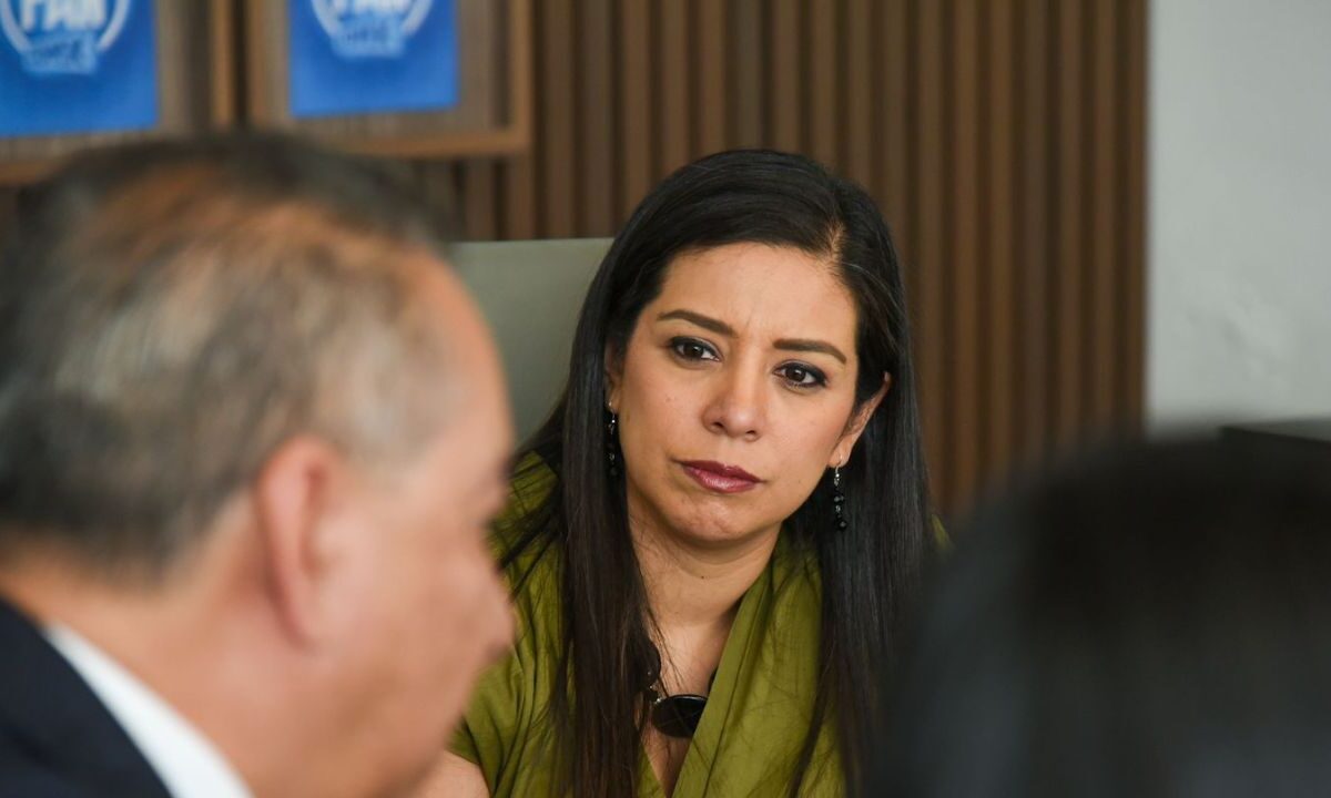 Pide PAN garantizar autonomía en gestión del IPDP