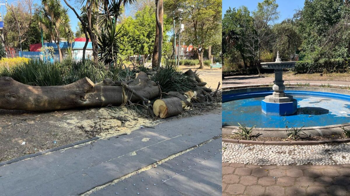 Congreso CDMX pide arreglar parques concurridos