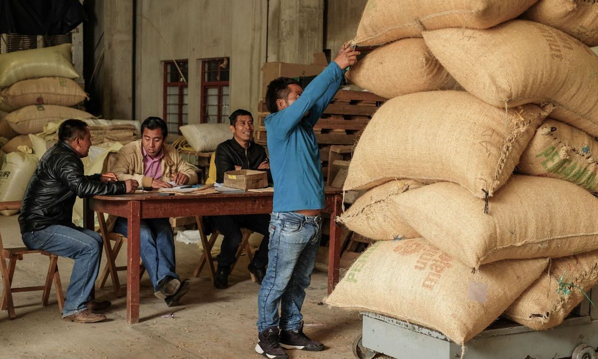 PIB de México crece en el primer trimestre de 2025 un 0.2%