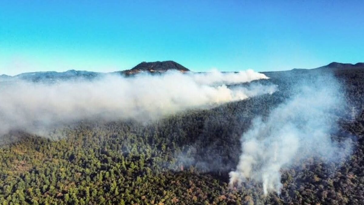 Un incendio forestal afecta el barrio de Santo Domingo desde la tarde del lunes.