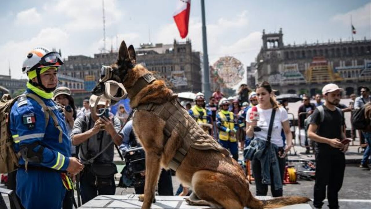 Simulacro Nacional 2025