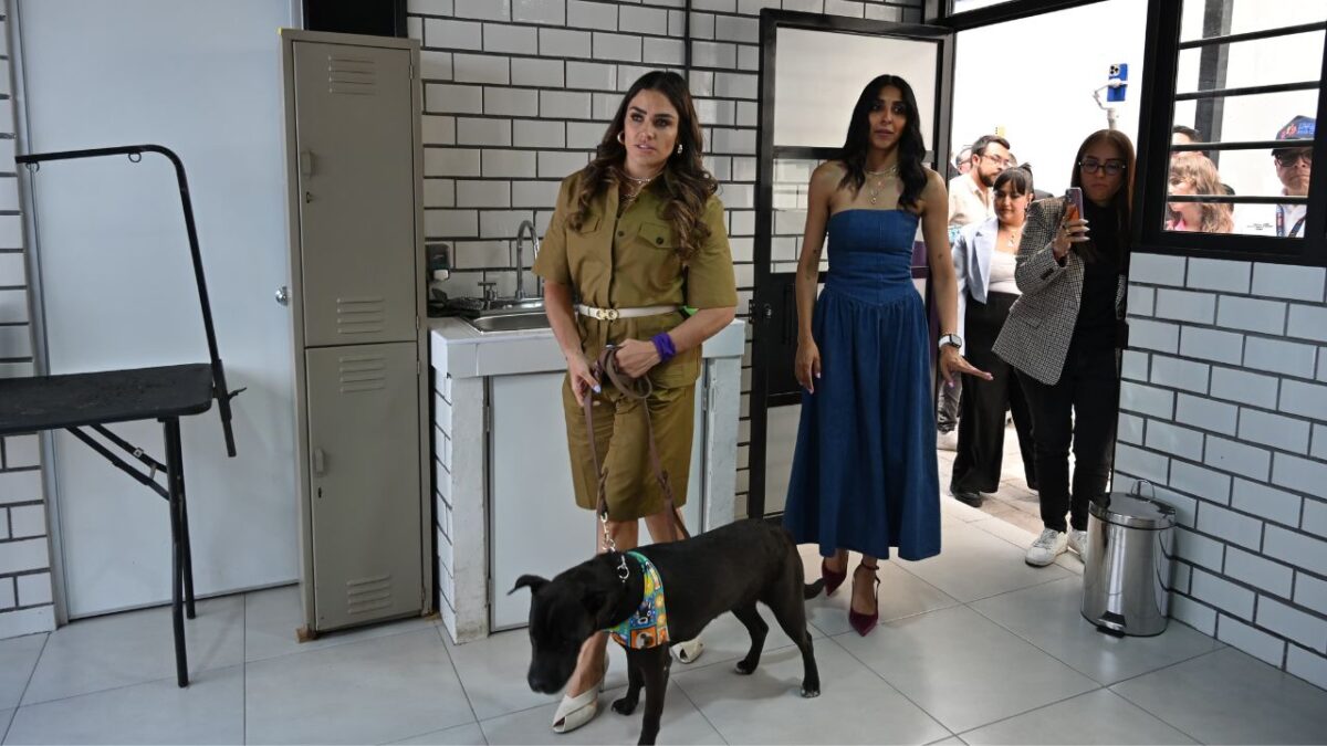 Con espacios diseñados para el bienestar de perros y gatos, la alcaldía Cuauhtémoc entregó el nuevo Centro de Atención Canina y Felina.