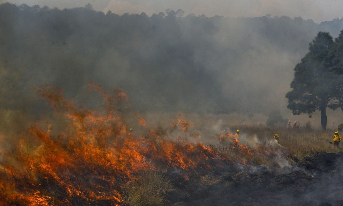 Reporta CNPC 114 incencios forestales activos