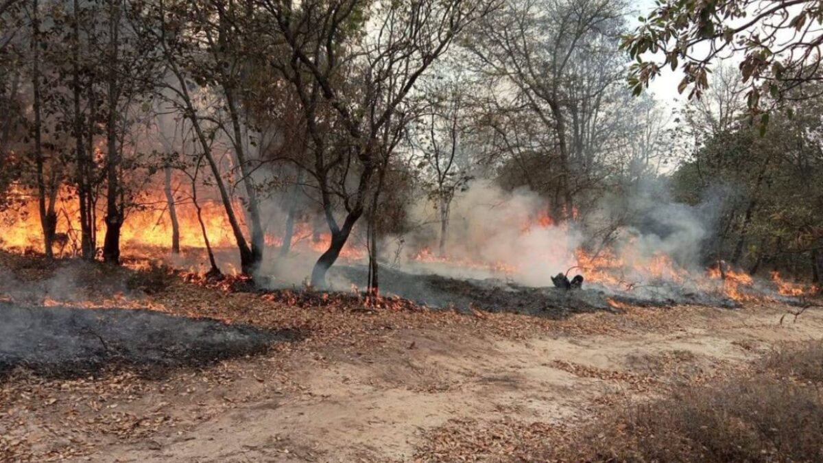 incendios en Edomex, Guerrero y Querétaro