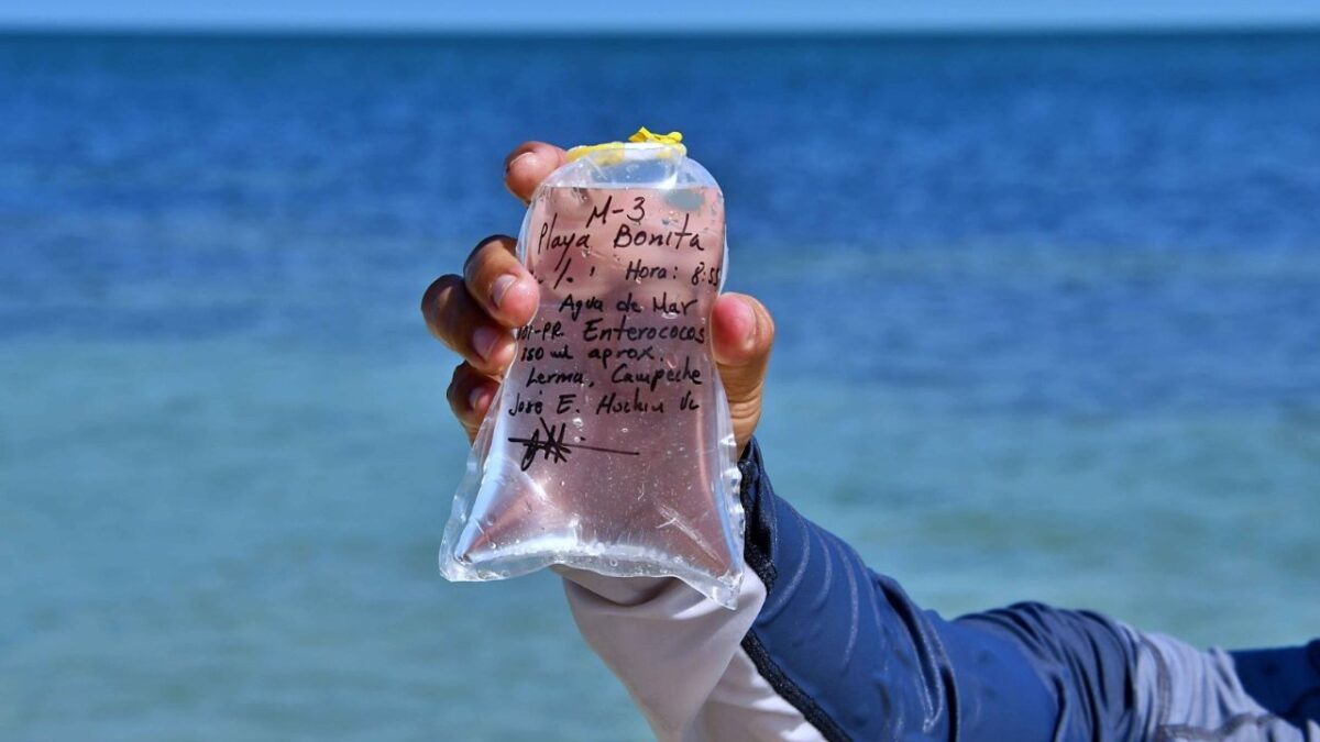 Como cada año, la Comisión para la Protección contra Riesgos Sanitarios del Estado de Campeche (Copriscam), llevó a cabo el monitoreo de la calidad del agua de las playas y cuerpos de agua dulce, previo al inicio oficial de las vacaciones de Semana Santa.