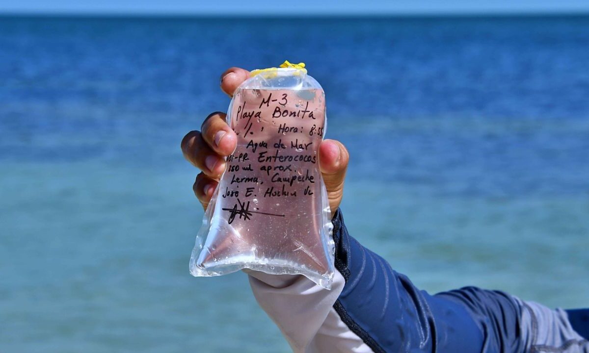 Como cada año, la Comisión para la Protección contra Riesgos Sanitarios del Estado de Campeche (Copriscam), llevó a cabo el monitoreo de la calidad del agua de las playas y cuerpos de agua dulce, previo al inicio oficial de las vacaciones de Semana Santa.