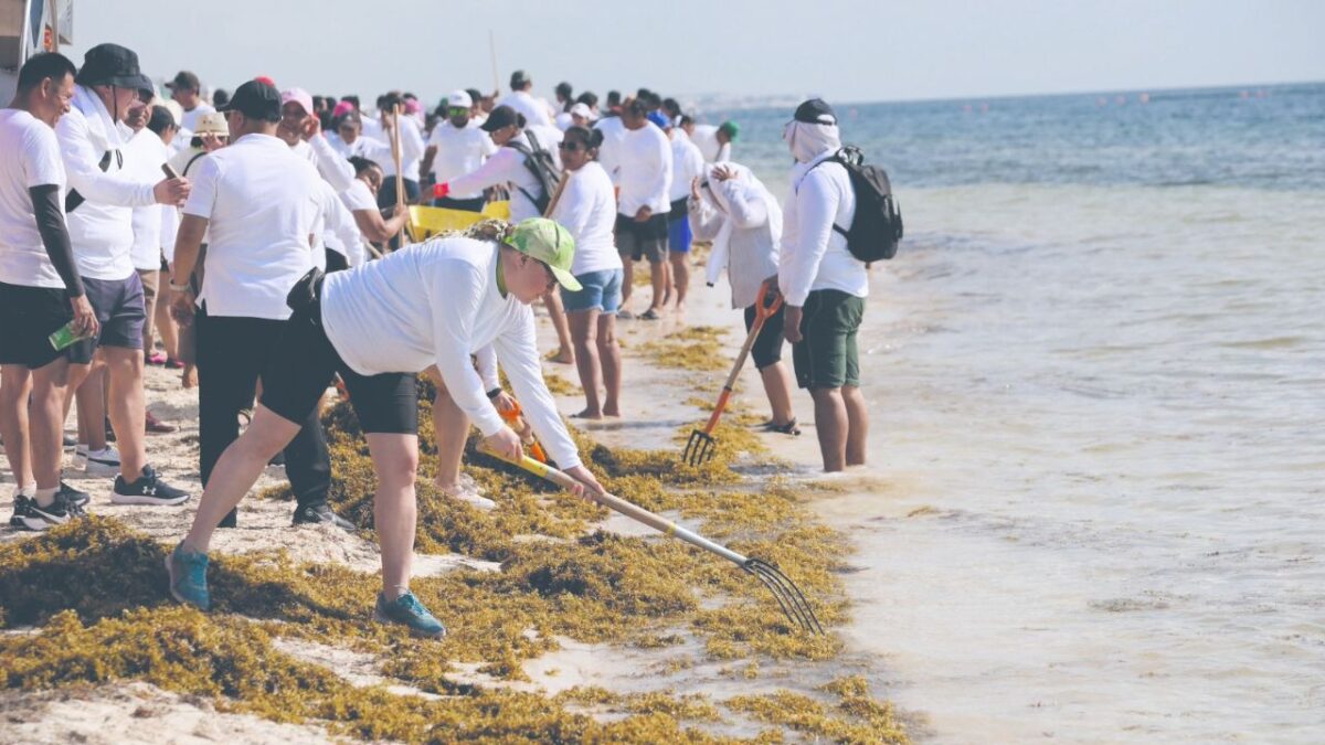 Los puntos más afectados por sargazo intensos son Mahahual, Xcalak, la Reserva de la Biosfera de Sian Ka’an, Tulum y la costa este de Cozumel. 