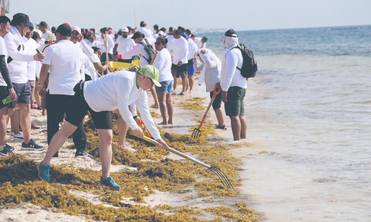 Los puntos más afectados por sargazo intensos son Mahahual, Xcalak, la Reserva de la Biosfera de Sian Ka’an, Tulum y la costa este de Cozumel. 