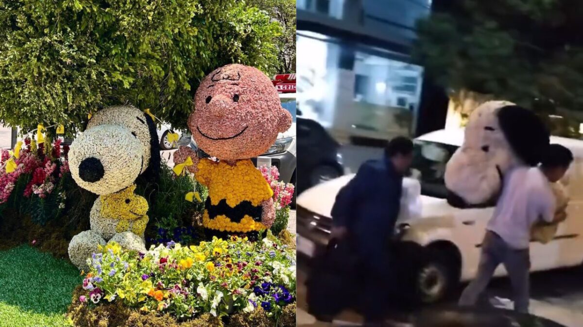 ¡Secuestran a Snoopy! así se llevaron la escultura del Festival de las Flores en Polanco