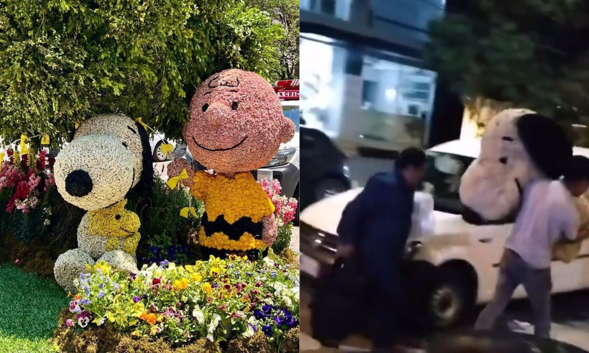 ¡Secuestran a Snoopy! así se llevaron la escultura del Festival de las Flores en Polanco