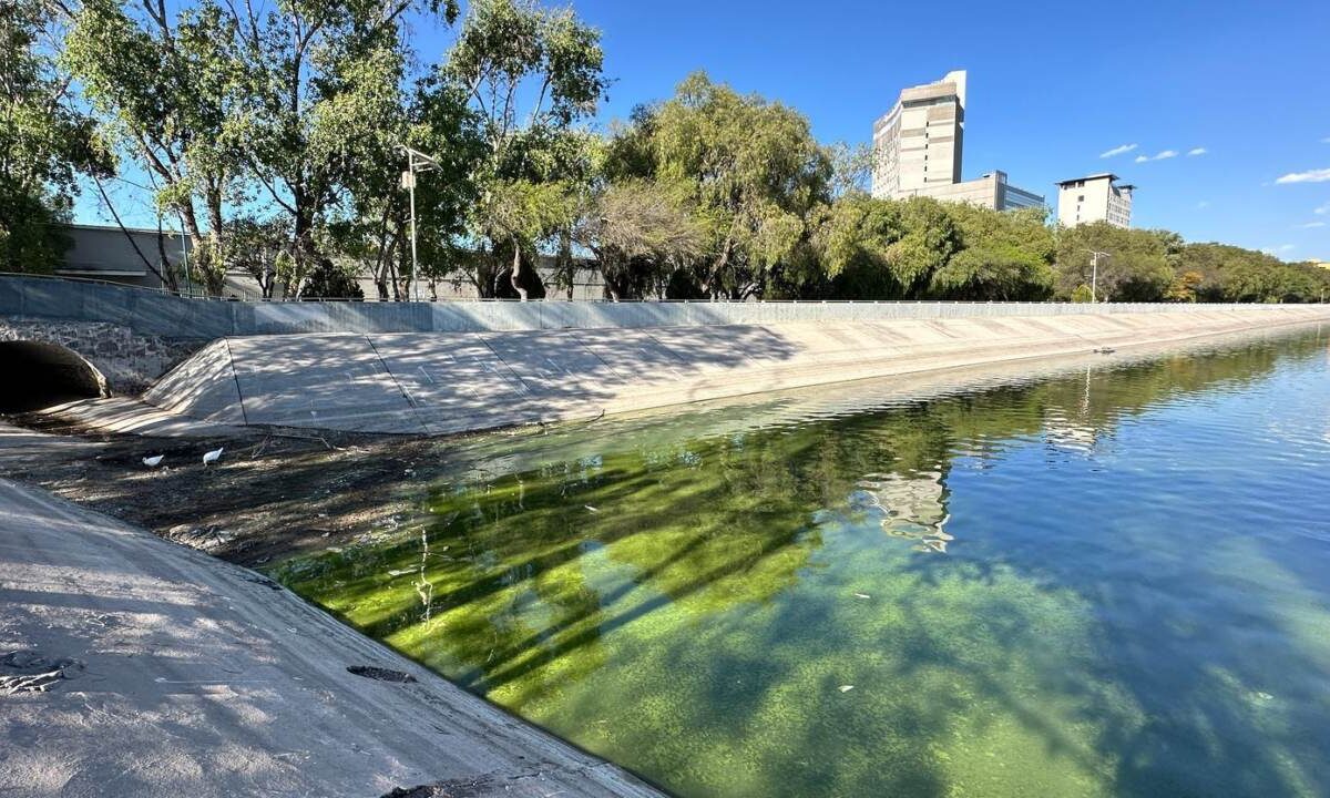 Dependencias estatales de SLP coordinan esfuerzos para resolver contaminación del Lago Mayor.