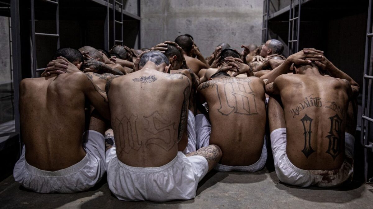 Defensores de derechos humanos denuncian que las detenciones de Trump se basan en estereotipos de la cultura venezolana