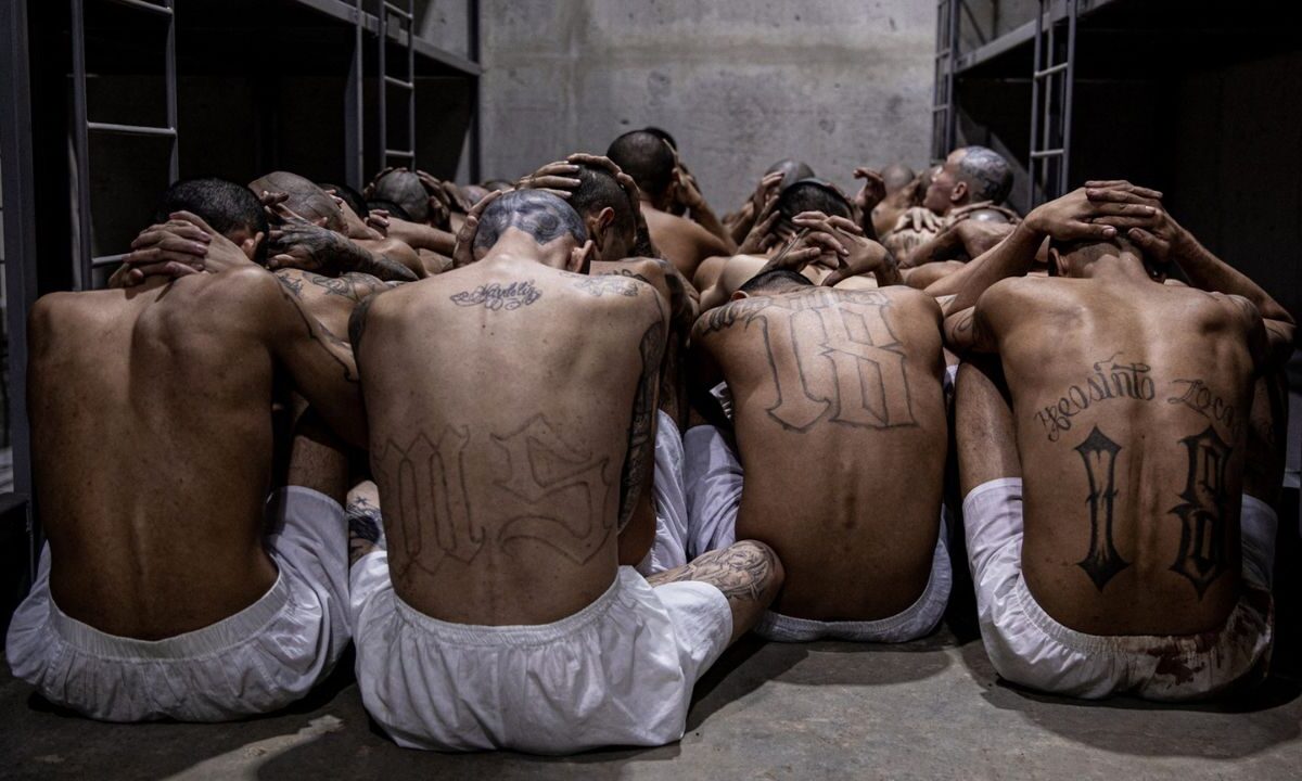 Defensores de derechos humanos denuncian que las detenciones de Trump se basan en estereotipos de la cultura venezolana