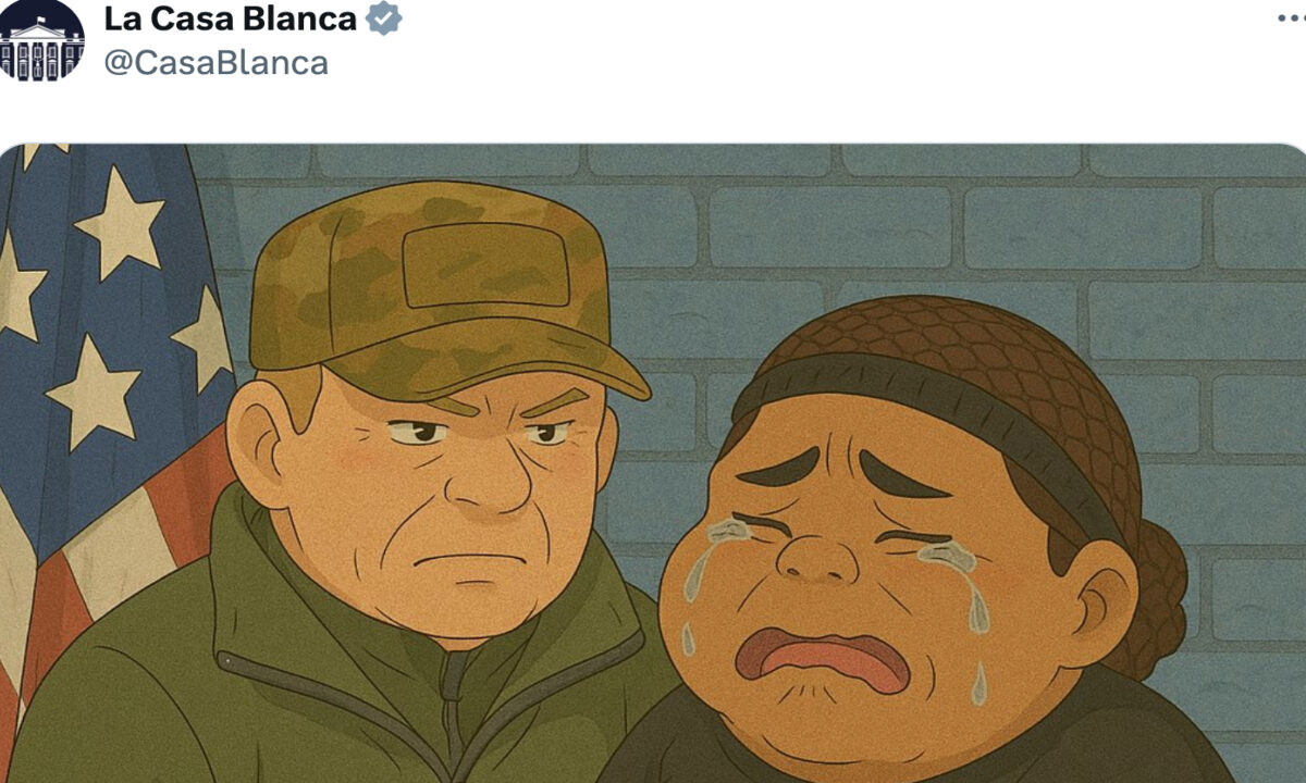 La administración de Donald Trump ha consolidado una estrategia comunicativa inusual: el uso de memes como vehículo para promover su política migratoria.