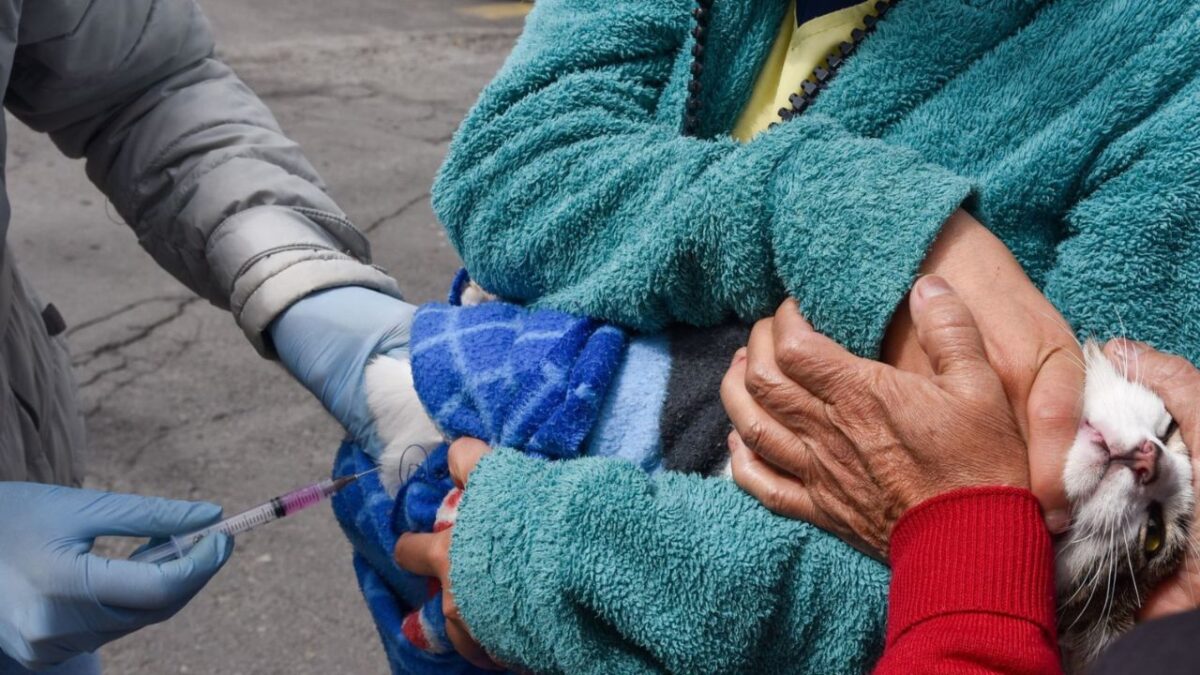 Autoridades sanitarias del Estado de México advierten sobre supuestos vacunadores antirrábicos falsos en el municipio de Chimalhuacán.