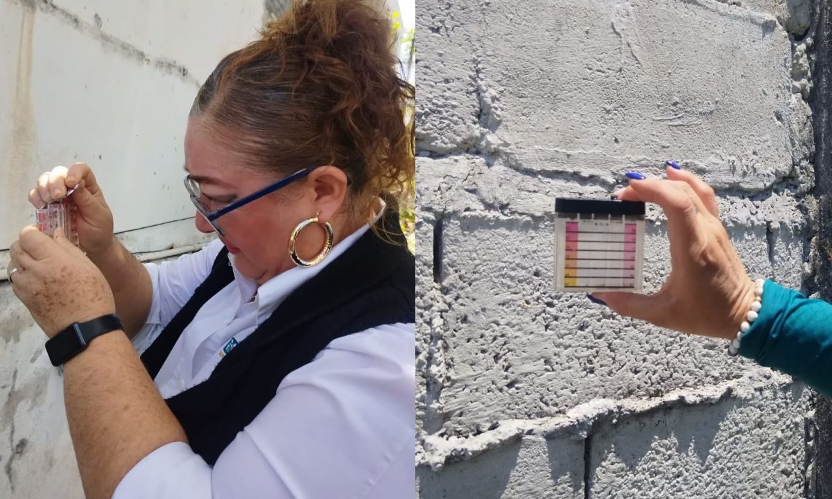 Para proteger la salud de los campechanos, la Comisión para la Protección contra Riesgos Sanitarios (Copriscam), verificó sistemas de abastecimiento de agua potable, en localidades del municipio de Champotón y Seybaplaya.